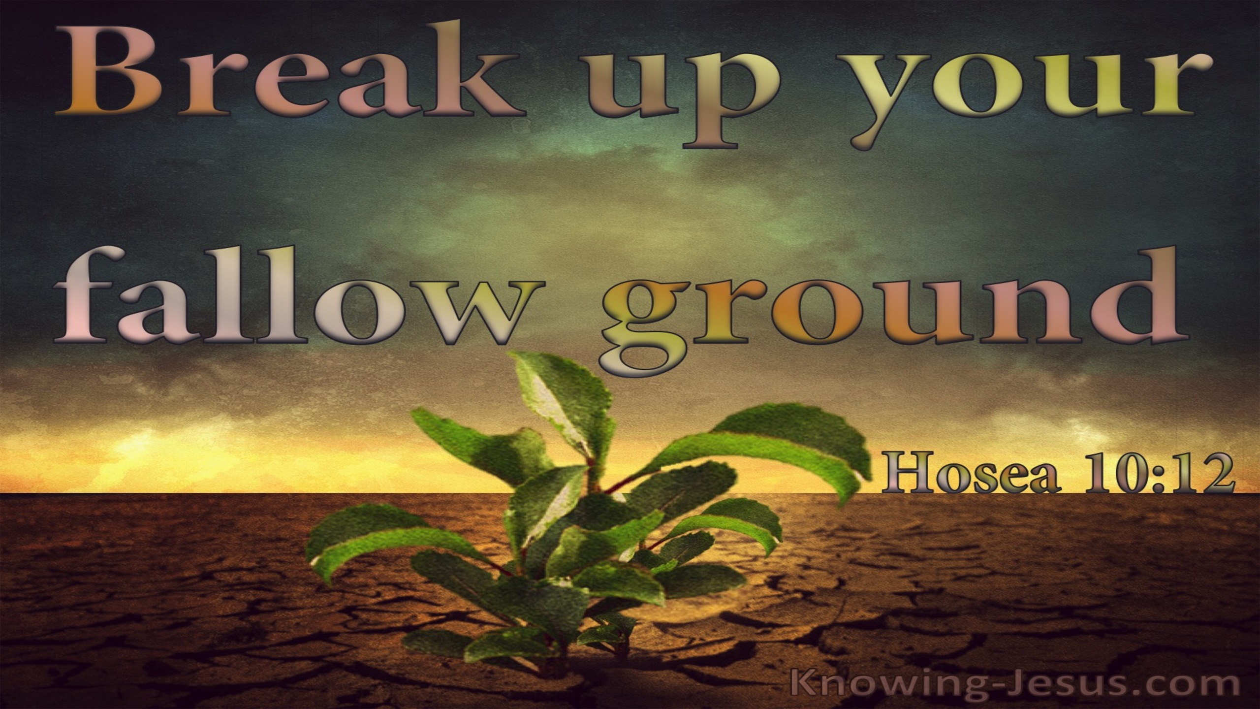Hosea 10:12 Break Up Your Fallow Ground It Is Time To Seek The Lord (brown)